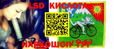стаф Кулебаки