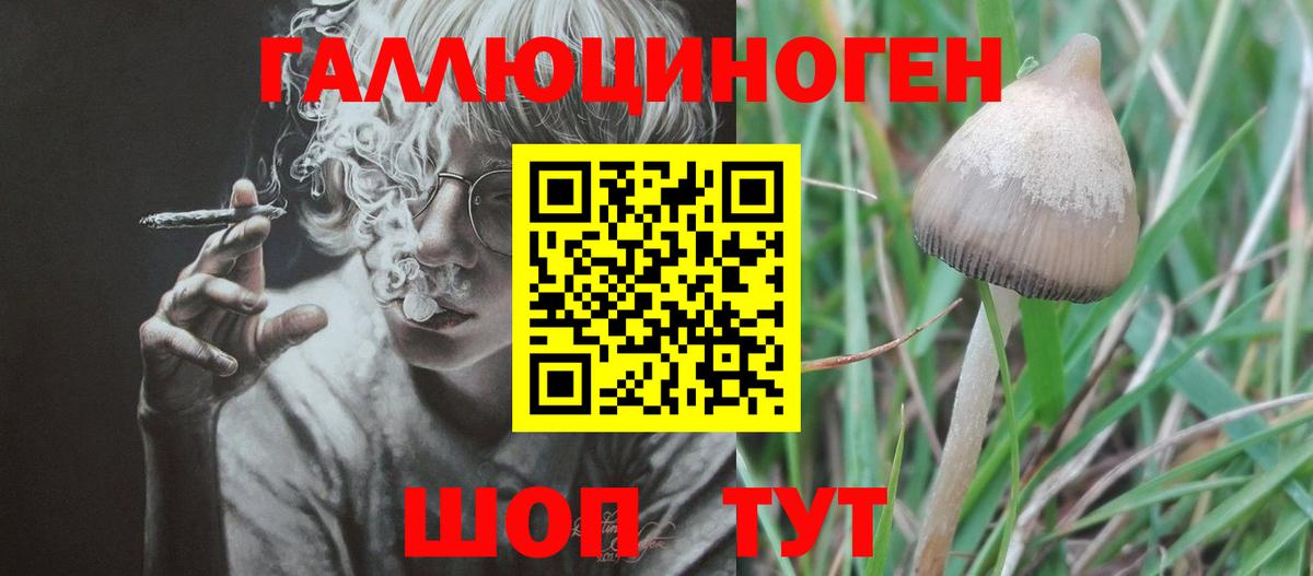 Каменск-Шахтинский  Псилоцибиновые грибы прущие грибы  Вход с VPN 